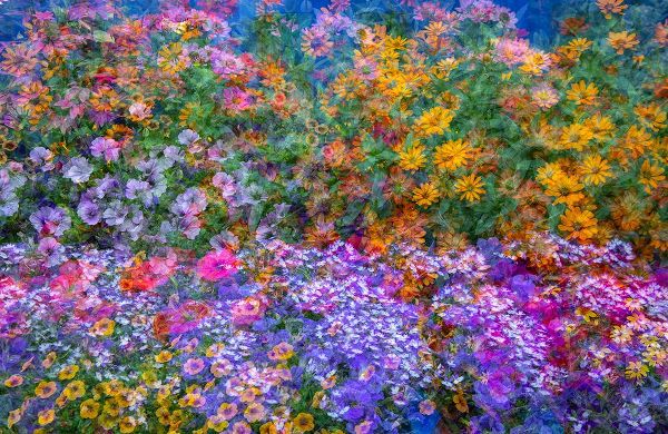 Gulin, Sylvia 아티스트의 USA-Washington State-Pacific Northwest-Sammamish colorful flowers and blue picket fence작품입니다.